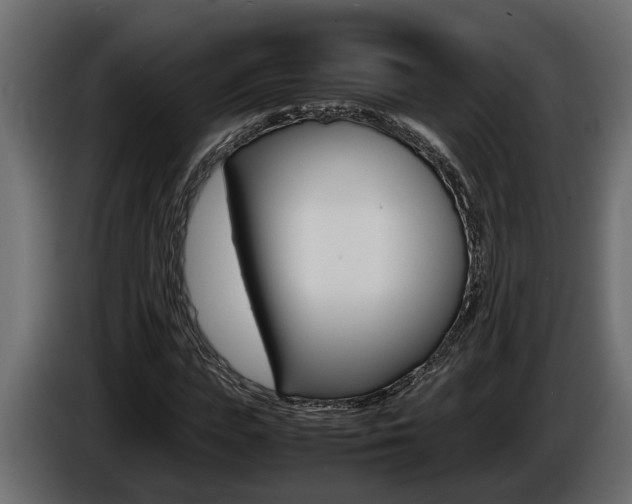 X0000086760823200704130812