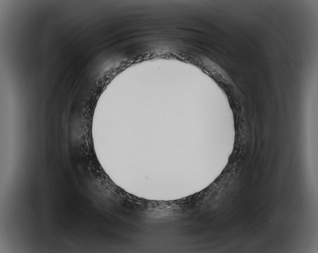 X0000086760824200704130812