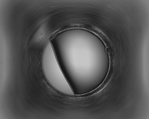 X0000086760825200704130812