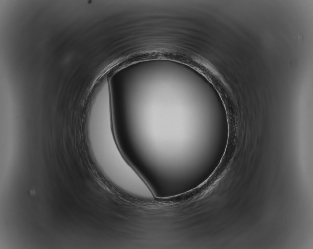 X0000086760826200704130812