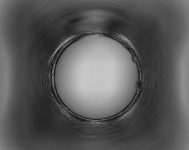 X0000086760827200704130812