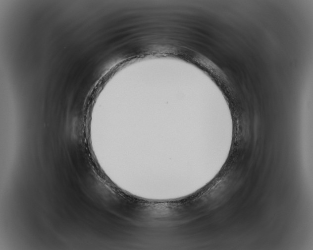 X0000086760828200704130813