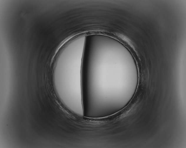 X0000086760829200704130813