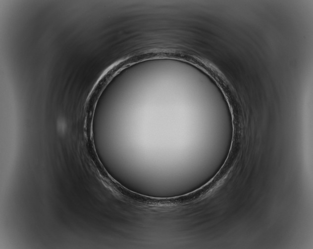 X0000086760830200704130813