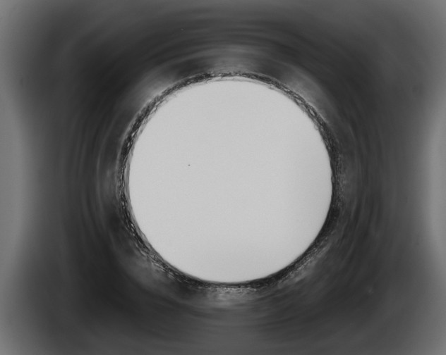 X0000086760832200704130813