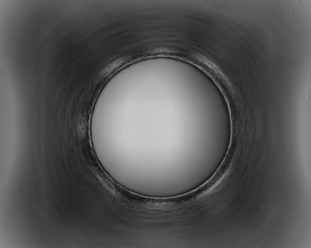 X0000086760833200704130813