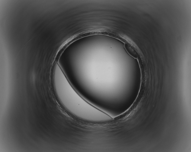 X0000086760834200704130813