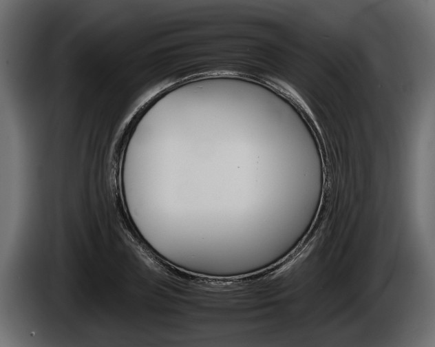 X0000086760835200704130813
