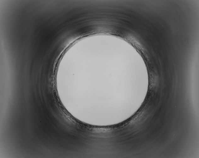 X0000086760836200704130813