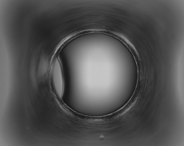 X0000086760837200704130813