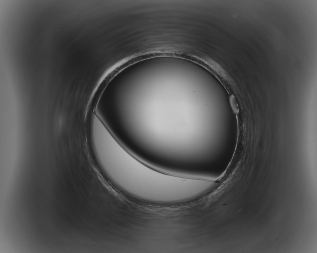 X0000086760838200704130813