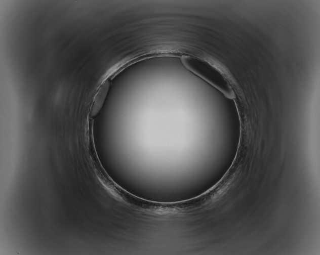 X0000086760842200704130813