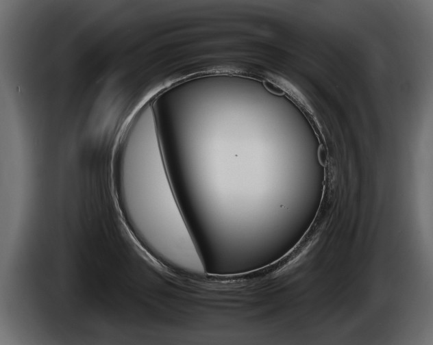 X0000086760843200704130813