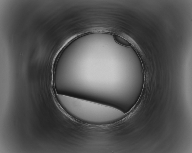 X0000086760844200704130813