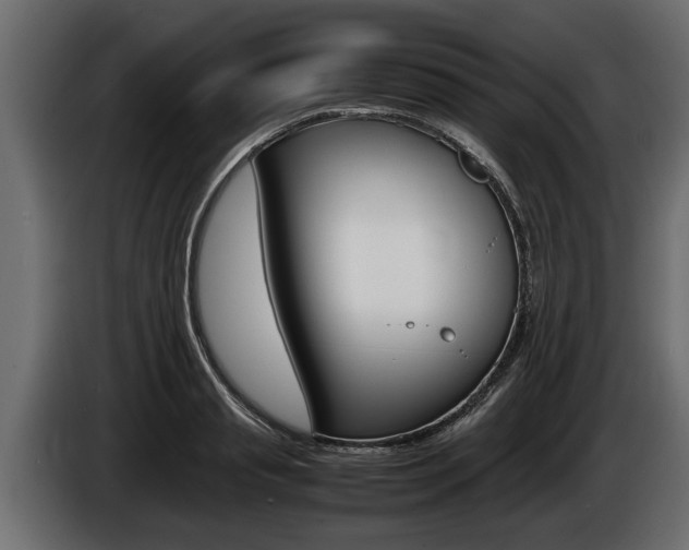 X0000086760845200704130813