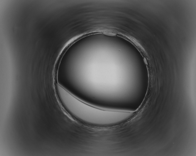 X0000086760846200704130813