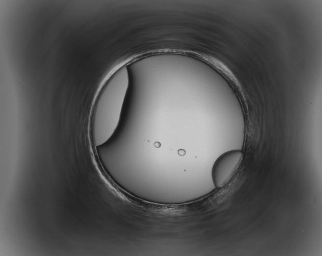 X0000086760847200704130813