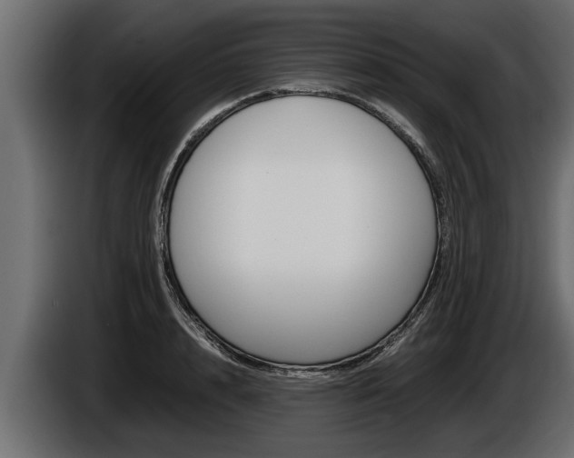 X0000086760848200704130813