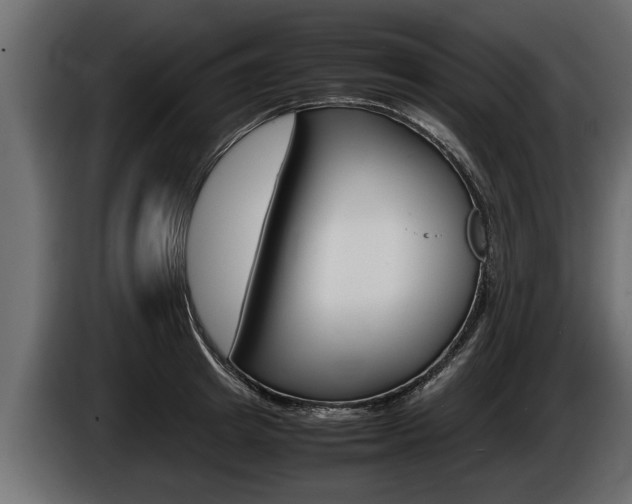 X0000086760849200704130813