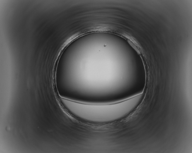 X0000086760850200704130813