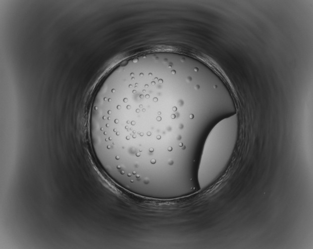 X0000086760851200704130813