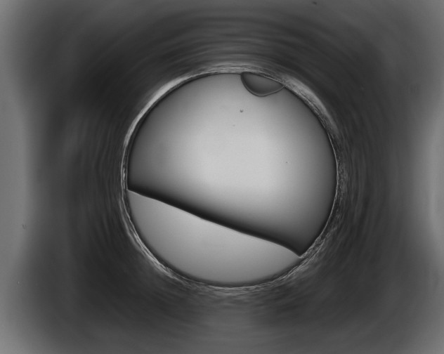 X0000086760852200704130813