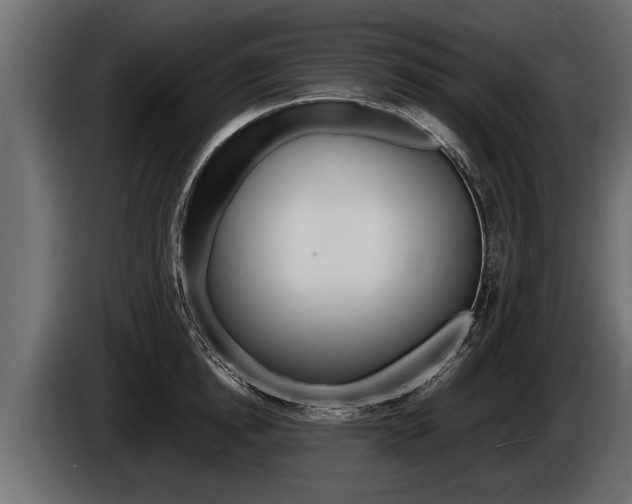 X0000086760854200704130813