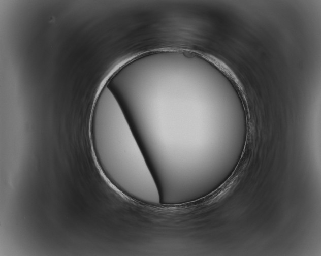 X0000086760855200704130813