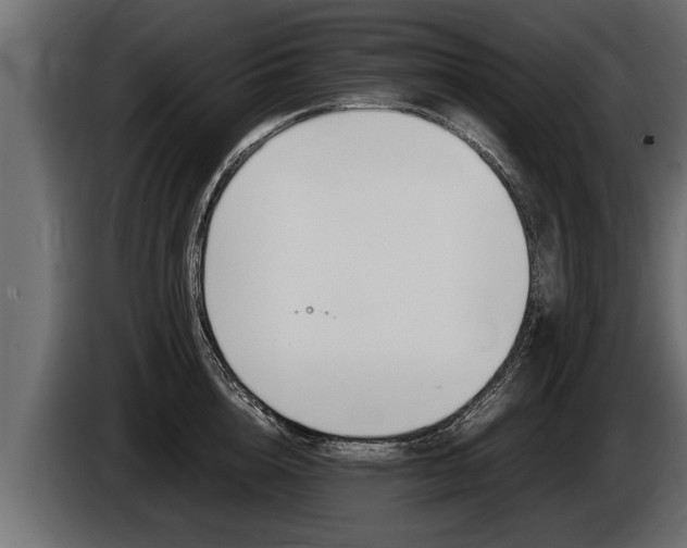 X0000086760856200704130813