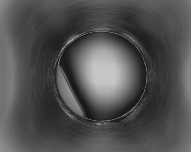 X0000086760858200704130813