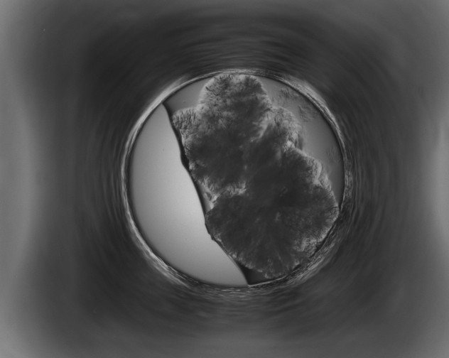 X0000086760859200704130813