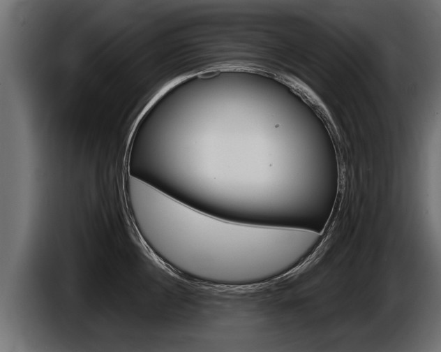 X0000086760860200704130813