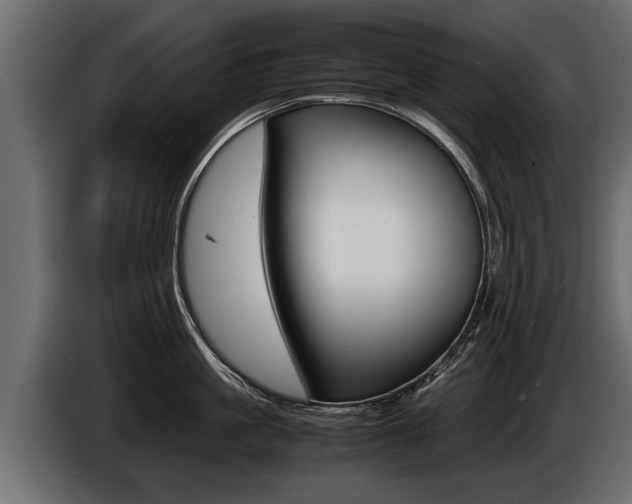 X0000086760861200704130813