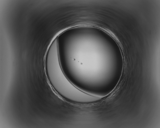 X0000086760862200704130813