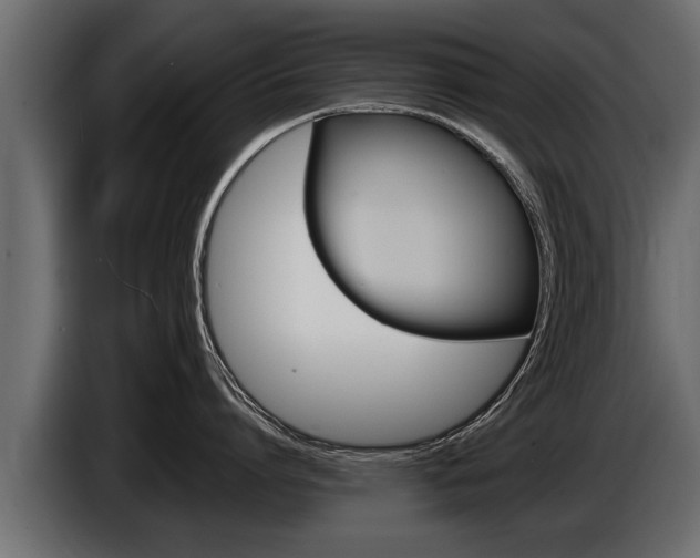 X0000086760864200704130813