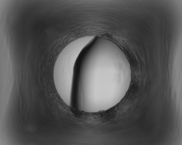 X0000086760865200704130812