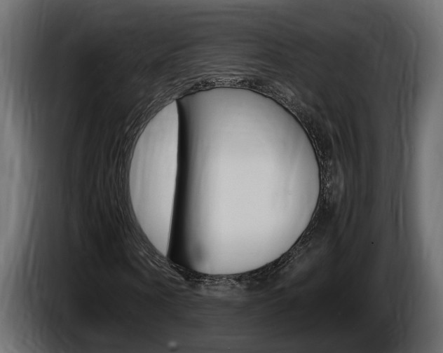 X0000086760866200704130812