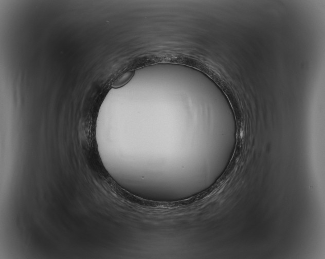 X0000086760867200704130812