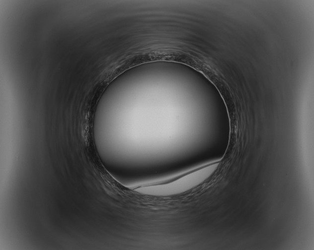 X0000086760868200704130812