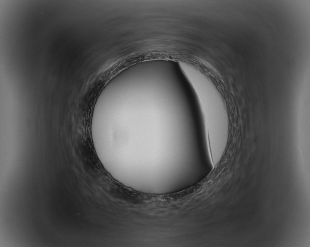 X0000086760869200704130812