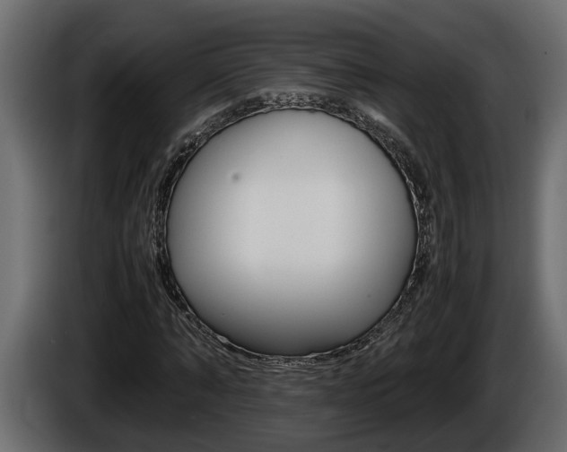 X0000086760870200704130812