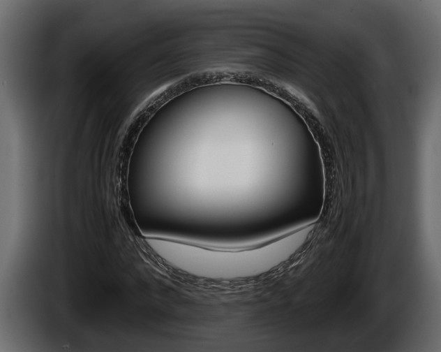 X0000086760872200704130812
