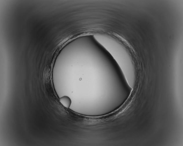 X0000086760873200704130812