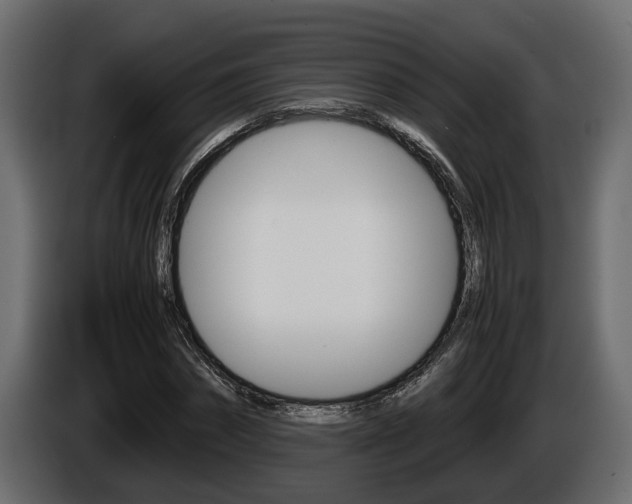 X0000086760874200704130812