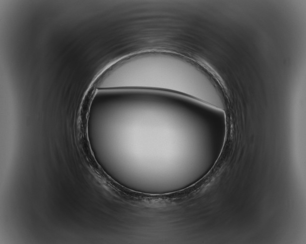 X0000086760876200704130812