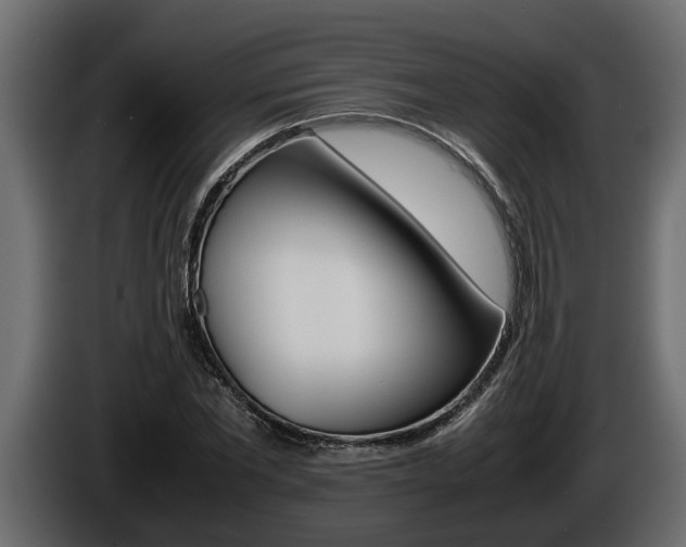 X0000086760877200704130812