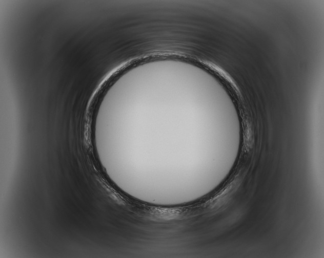 X0000086760878200704130812
