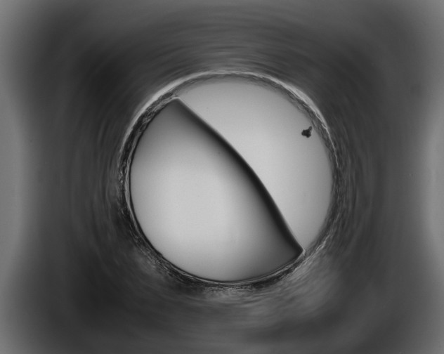 X0000086760879200704130812