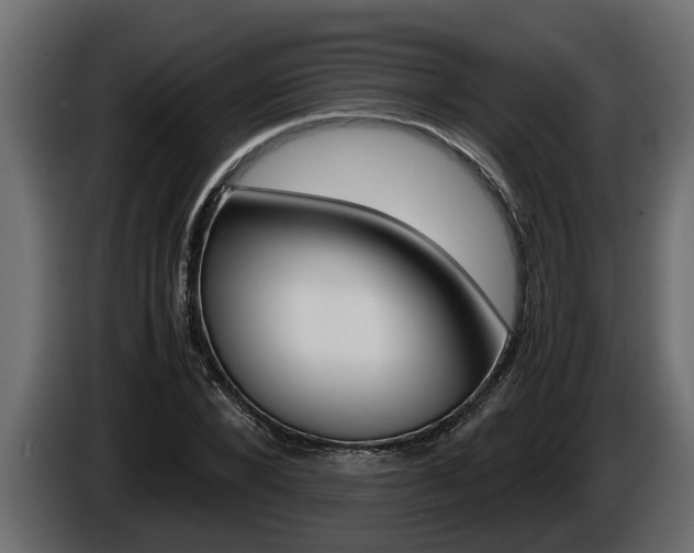 X0000086760880200704130812