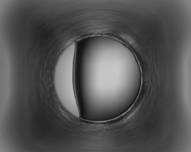 X0000086760881200704130812